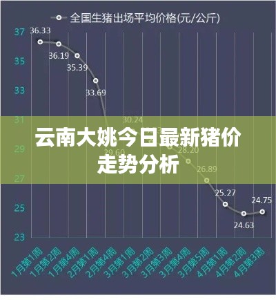 云南大姚今日最新豬價(jià)走勢(shì)分析