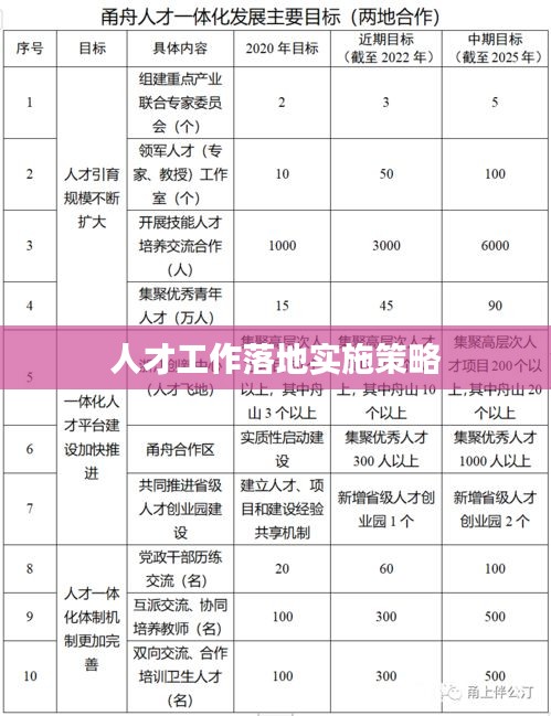 人才工作落地實(shí)施策略