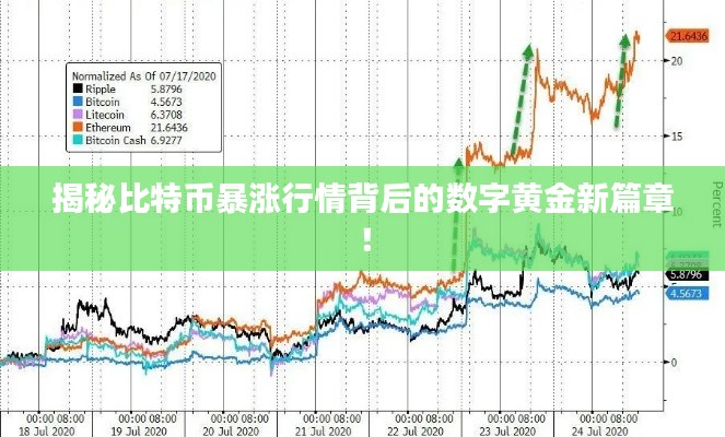 揭秘比特幣暴漲行情背后的數(shù)字黃金新篇章！