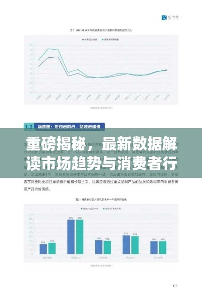 重磅揭秘，最新數(shù)據(jù)解讀市場趨勢與消費者行為，2024以舊換新趨勢分析