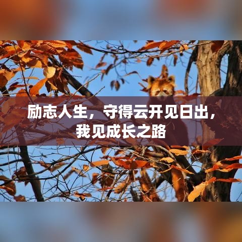 勵志人生，守得云開見日出，我見成長之路