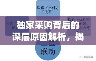 獨家采購背后的深層原因解析，揭秘設(shè)備采購背后的因素