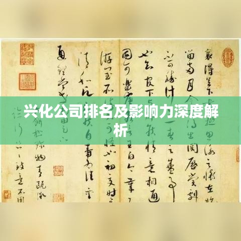 興化公司排名及影響力深度解析